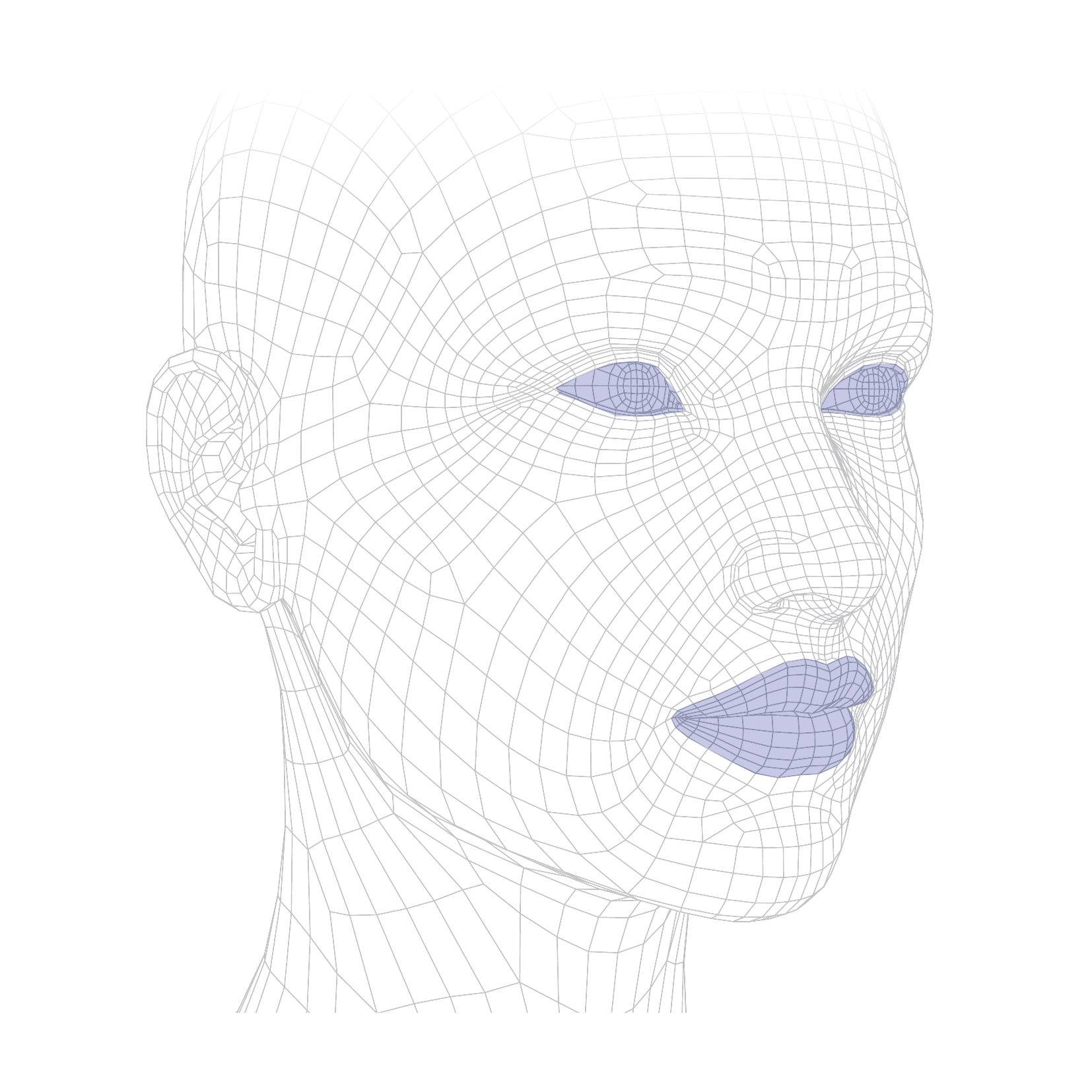 BioReFeel standard injection protocol face base